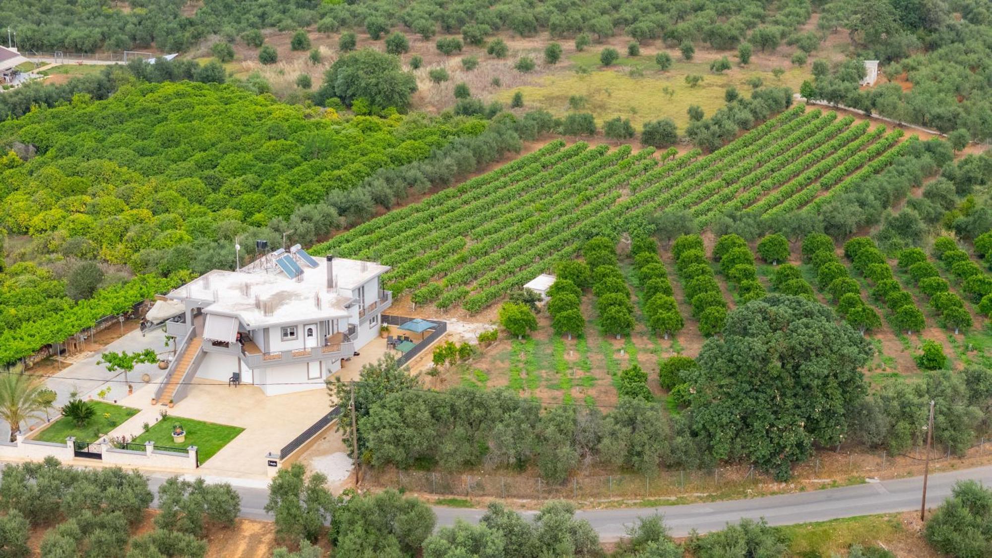 Ampelos Perivólia المظهر الخارجي الصورة
